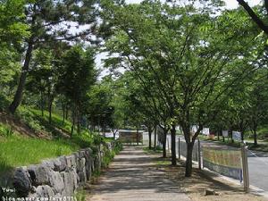 大邱加圖立大學