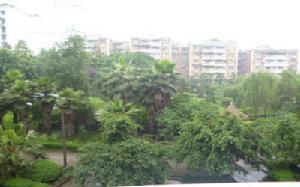 順通花園 順通花園