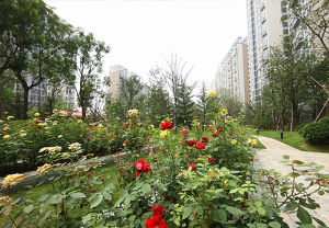 順天莊園 順天莊園