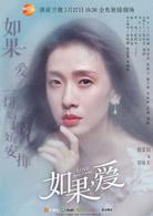 如果，愛[2017年張哲書執導電視劇]