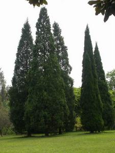 中國科學院合肥智慧型機械研究所