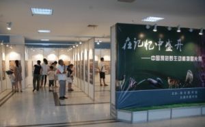 一樓展廳