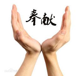 奉獻[漢語詞語]