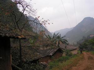 鎢金洞自然村 鎢金洞自然村