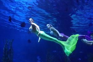 杭州極地海洋世界相關圖