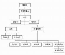 廣東優生優育協會組織結構圖