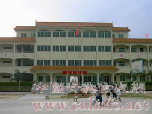 鵝埠中學 鵝埠中學