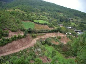利山自然村 利山自然村