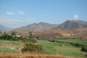 小新莊村 小新莊村