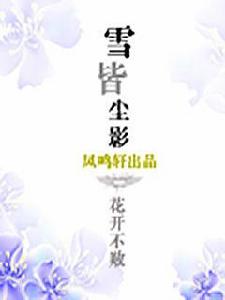 雪皆塵影 雪皆塵影
