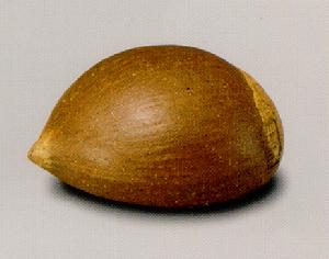 明清栗子 明清栗子