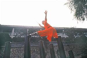 少林武功 少林武功