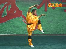 虎拳[中國傳統武術流派之一]