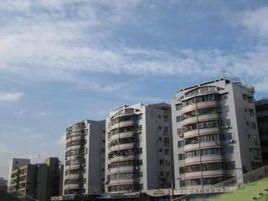 金溪大廈 金溪大廈