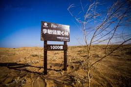 李敏鎬愛心林 李敏鎬愛心林