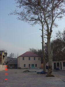 南京浦口鐵路國小