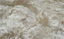 鹽漬土工程地質災害