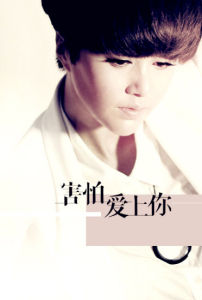 害怕愛上你[譚維維演唱歌曲]