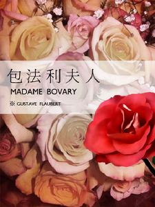 《包法利夫人》 《包法利夫人》