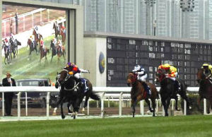 香港奧運賽馬場 香港奧運賽馬場