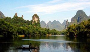 羅城水上相思林 羅城水上相思林