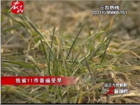 （圖）欄目截圖