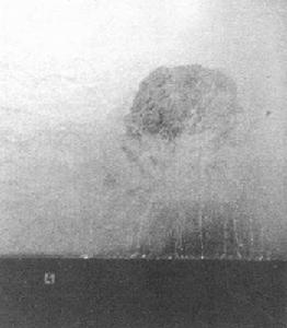 1991年12月31日 1991年12月31日