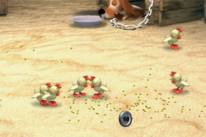 小雞養殖場 小雞養殖場