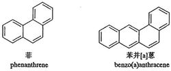圖3 角狀排列的多環芳烴