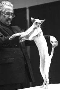 寵物鑑賞師 寵物鑑賞師