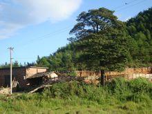 2012年8月1日丘峰岩小學生遊園活動