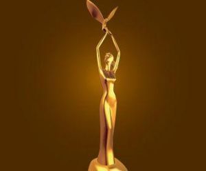 第17屆中國電視金鷹獎 第17屆中國電視金鷹獎