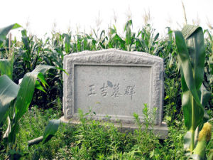 王吉墓群 王吉墓群