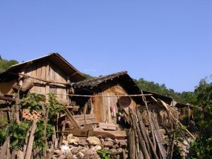 桃子箐村 桃子箐村