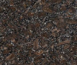 皇室玫瑰 皇室玫瑰