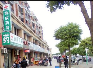 和風麗園配套圖