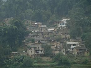 東角下寨村 東角下寨村