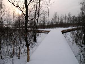白漁泡國家濕地公園