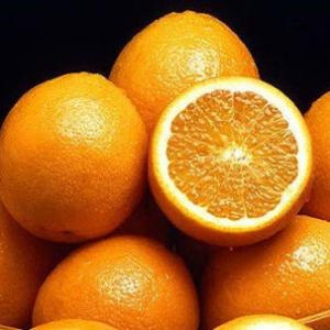 安遠臍橙 安遠臍橙