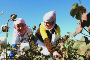 多彩家園 多彩家園
