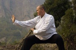 內家拳法 內家拳法