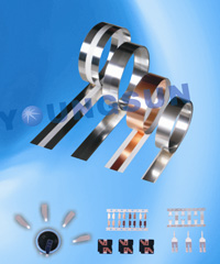 局部選擇電鍍帶材