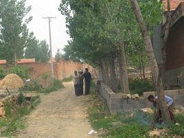 柏崖村[山西省晉城市陵川縣附城鎮柏崖村]