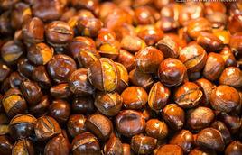 糖炒板粟 糖炒板粟