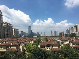 順德新城 順德新城