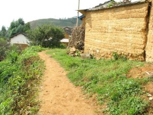 多依樹上自然村 多依樹上自然村