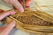 傳統包裹在稻草中的水戶納豆