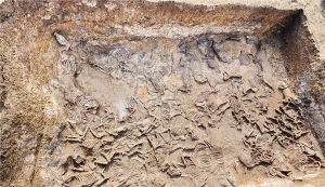 棗陽郭家廟曾國墓地 棗陽郭家廟曾國墓地