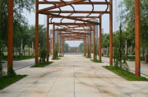 邢台市人民公園 邢台市人民公園