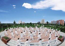 武當三豐太極拳動作分解 武當三豐太極拳動作分解